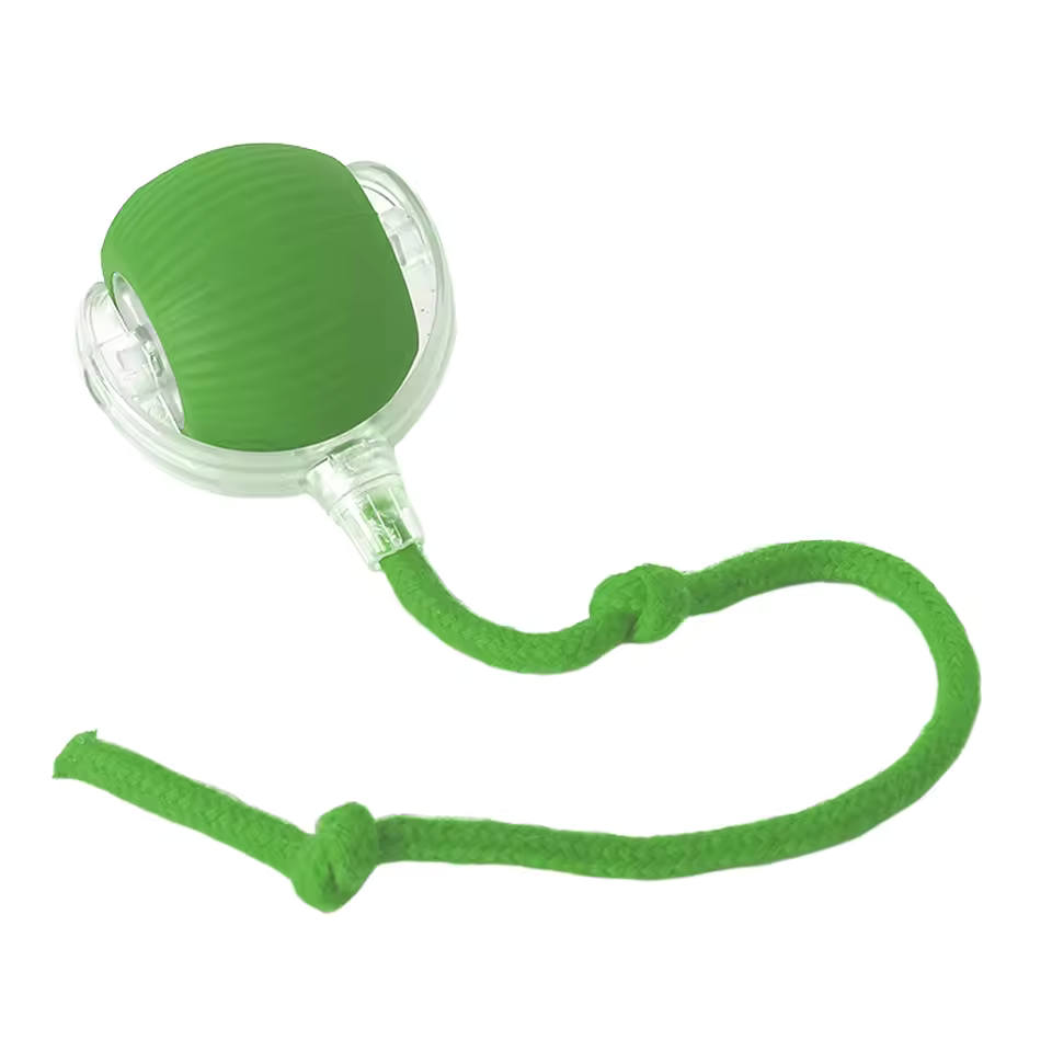 Interactive Dog Ball